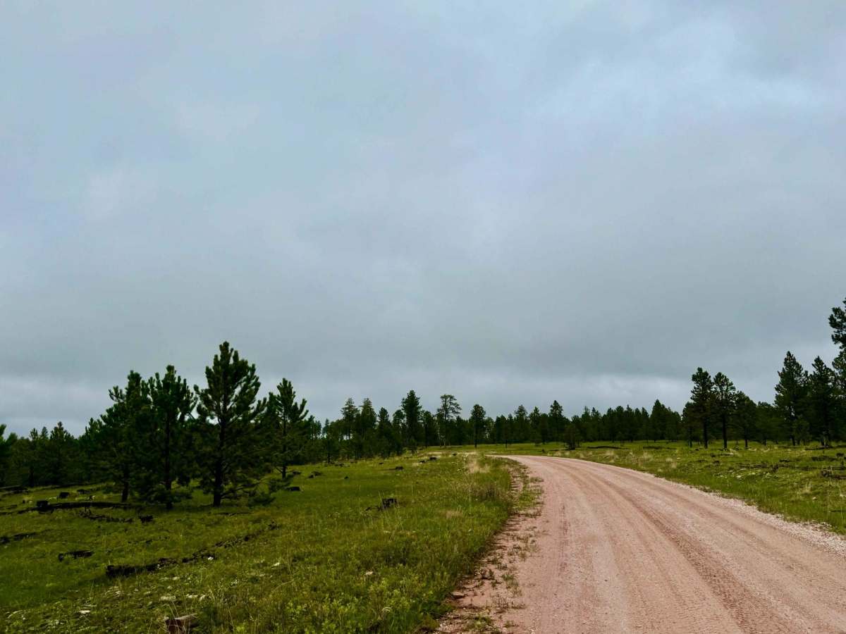 Custer Limestone Road photo 6