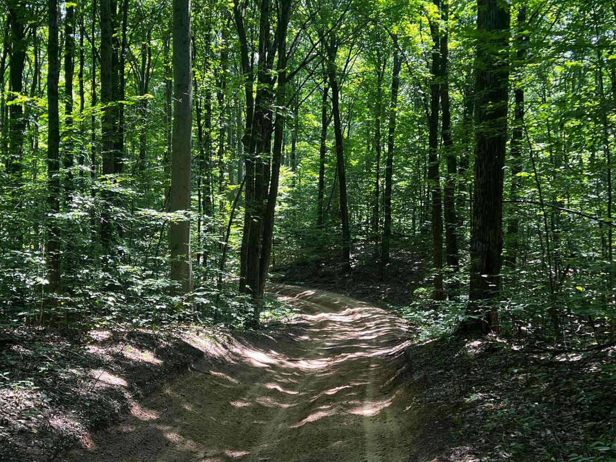 NFS 7859 trail photo