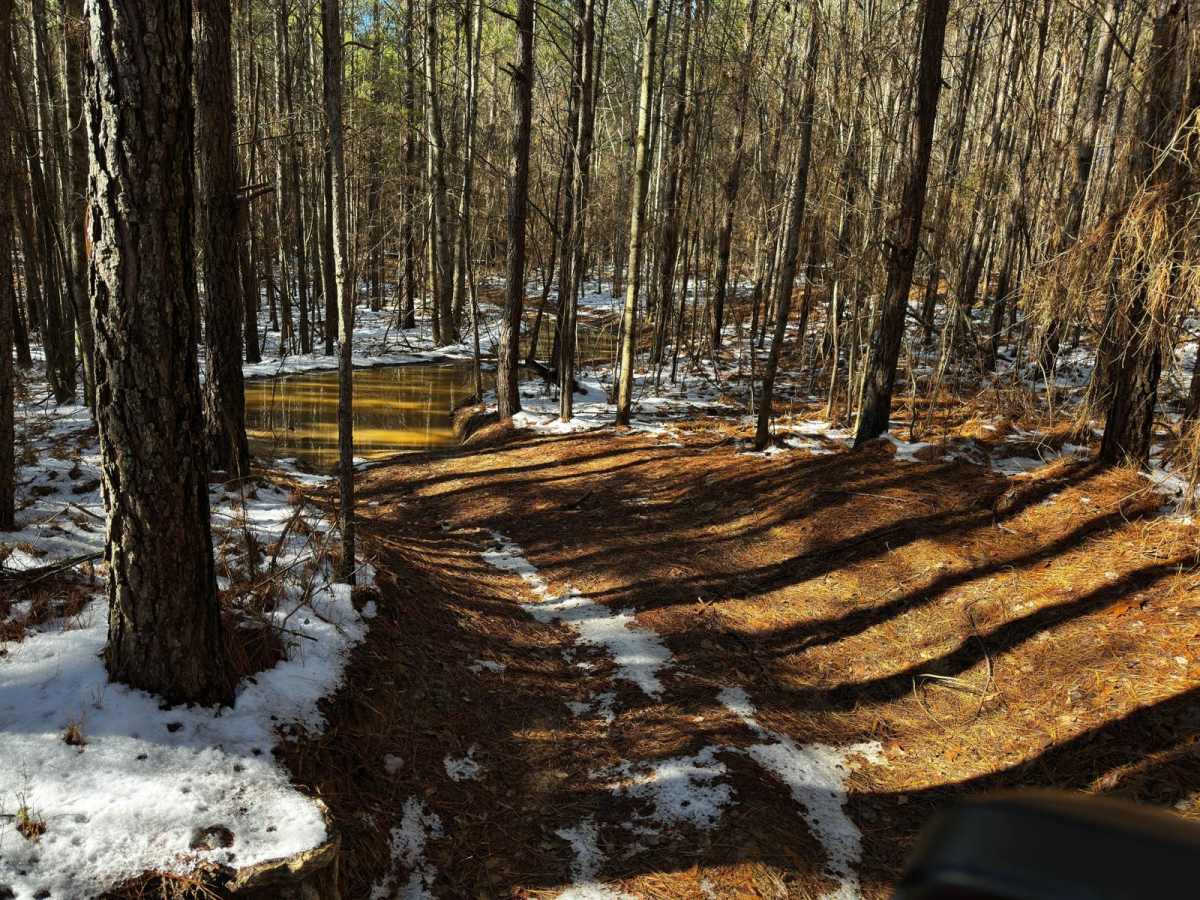 405D trail photo