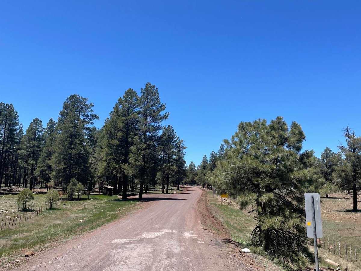 Stoneman Lake Road photo 4