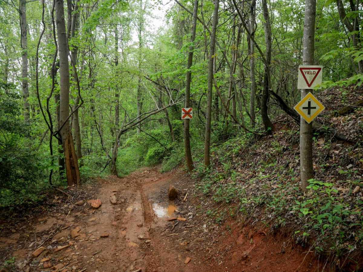 1B Shortcut photo 6