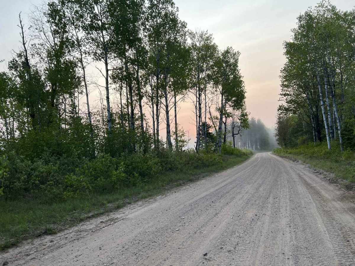 Lyons Lake Road trail photo