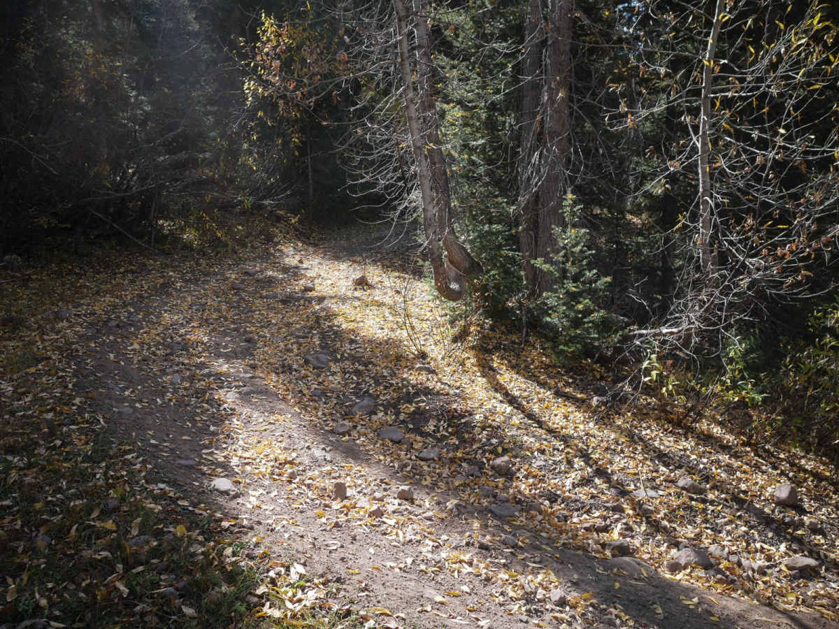 B Spur photo 3