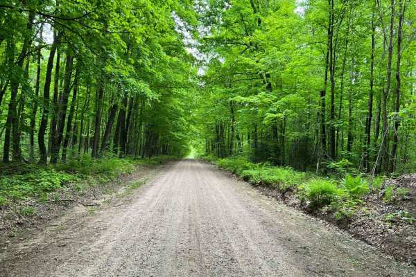 Forest Road 2183 Western Section