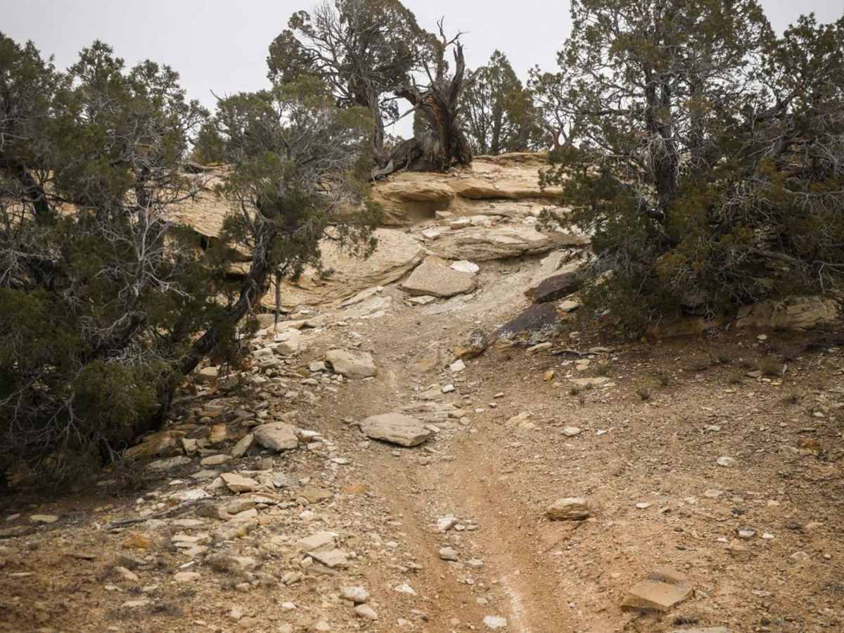 Arch Loop Trail photo 5
