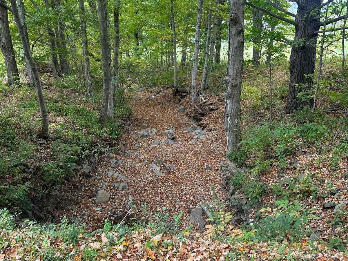 Sturdevant Road (Seasonal) photo 3