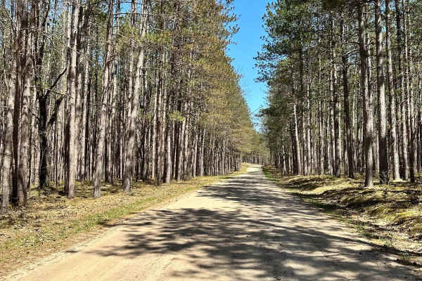Cadillac Area ORV/OHV Scenic Ride - Part 16