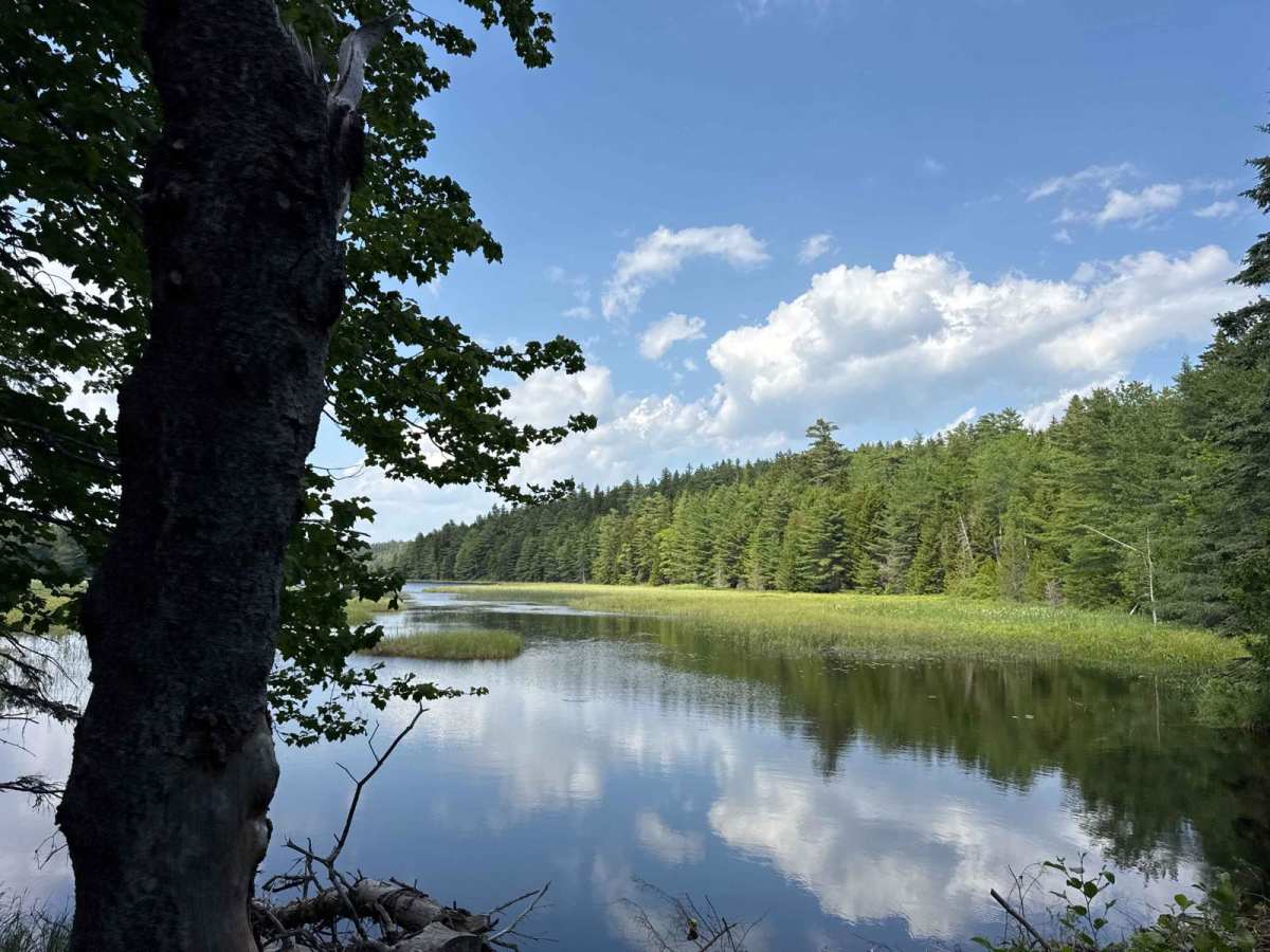 Long Pond Fire Road trail photo