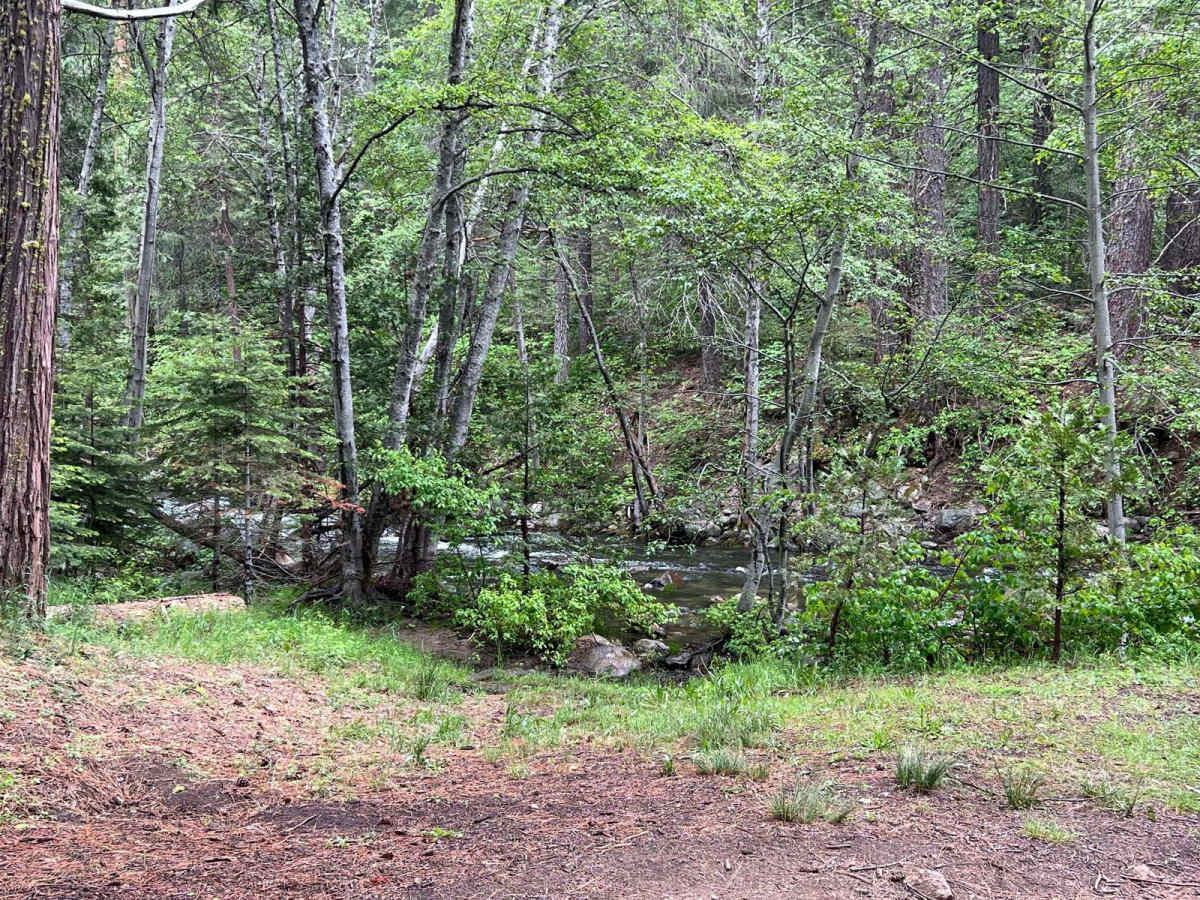 North Fork Crossing photo 4