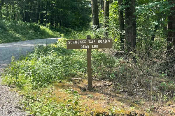 Schwenks Gap Road
