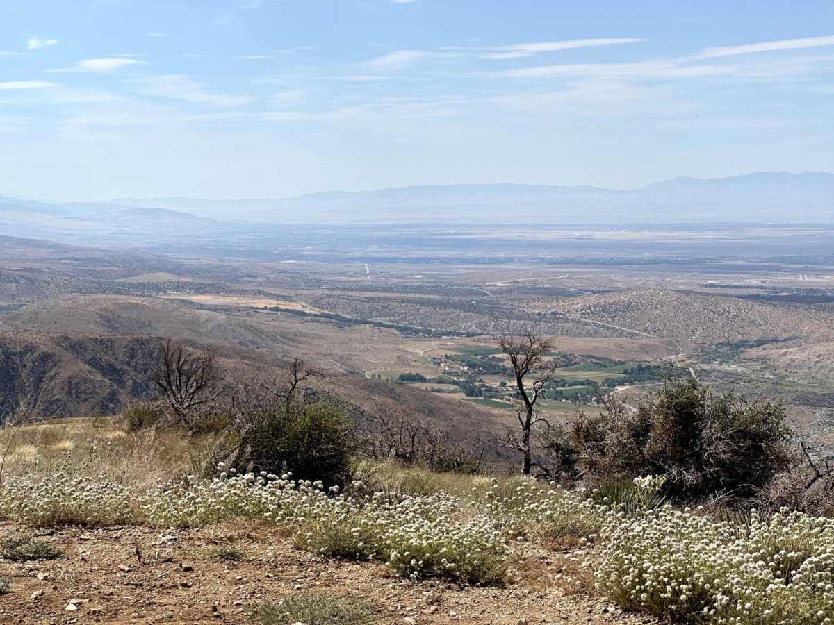Pinyon Ridge Truck Trail photo 6