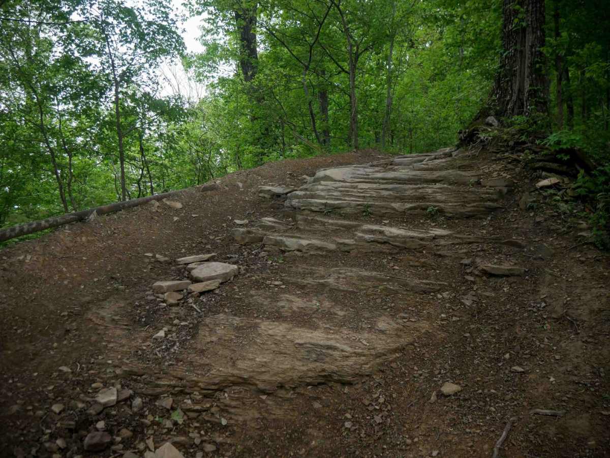BM 56 trail photo