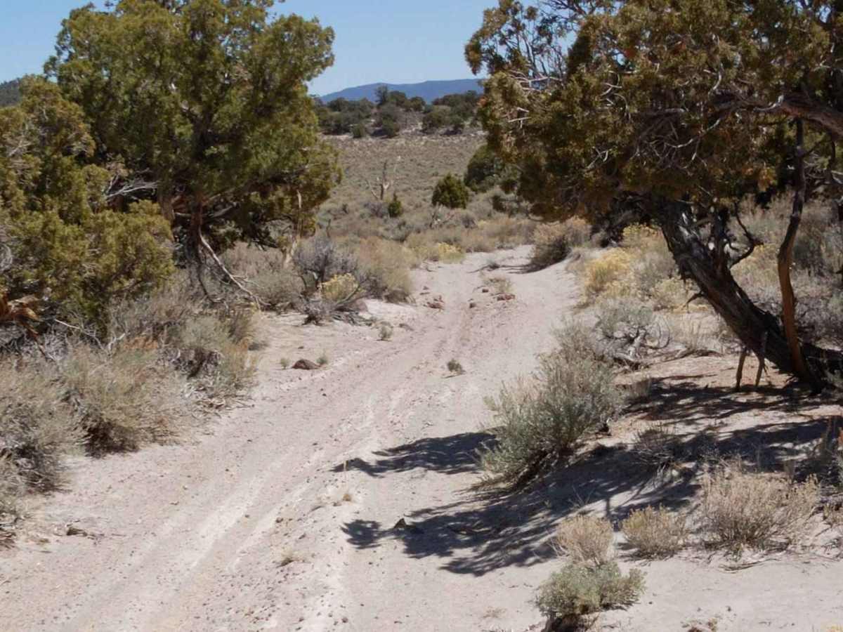 Adobe Valley to Little Huntoon Valley photo 5