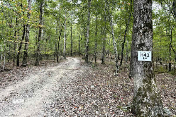 H42 Parker Lane