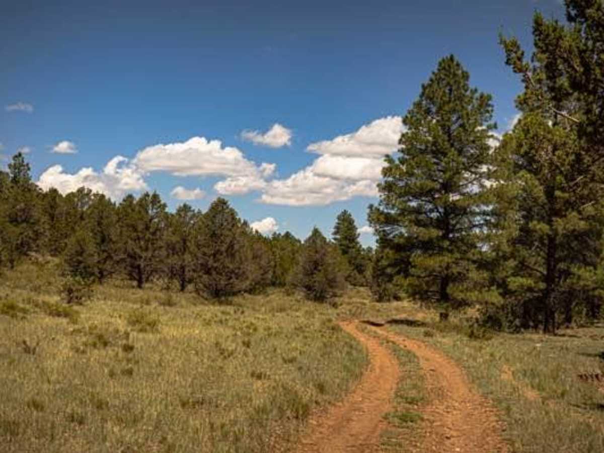 Pine Creek photo 5