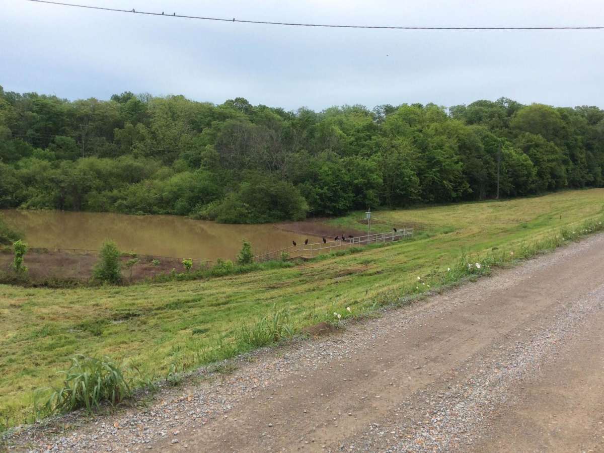 Red River Levee Trail photo 6