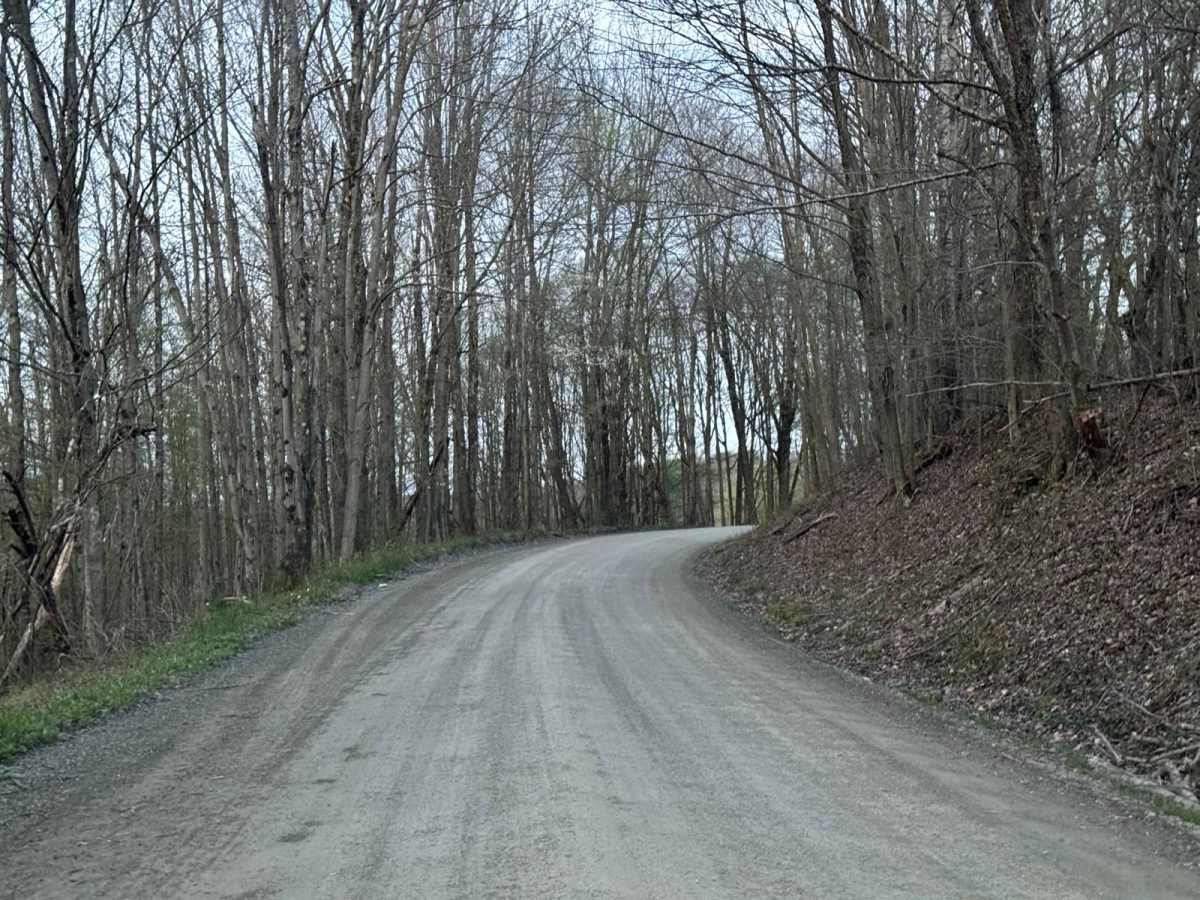Tripp Lake Road photo 3