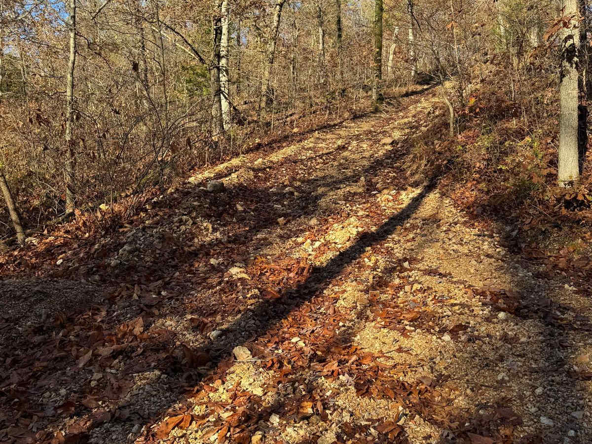 Green 121 trail photo