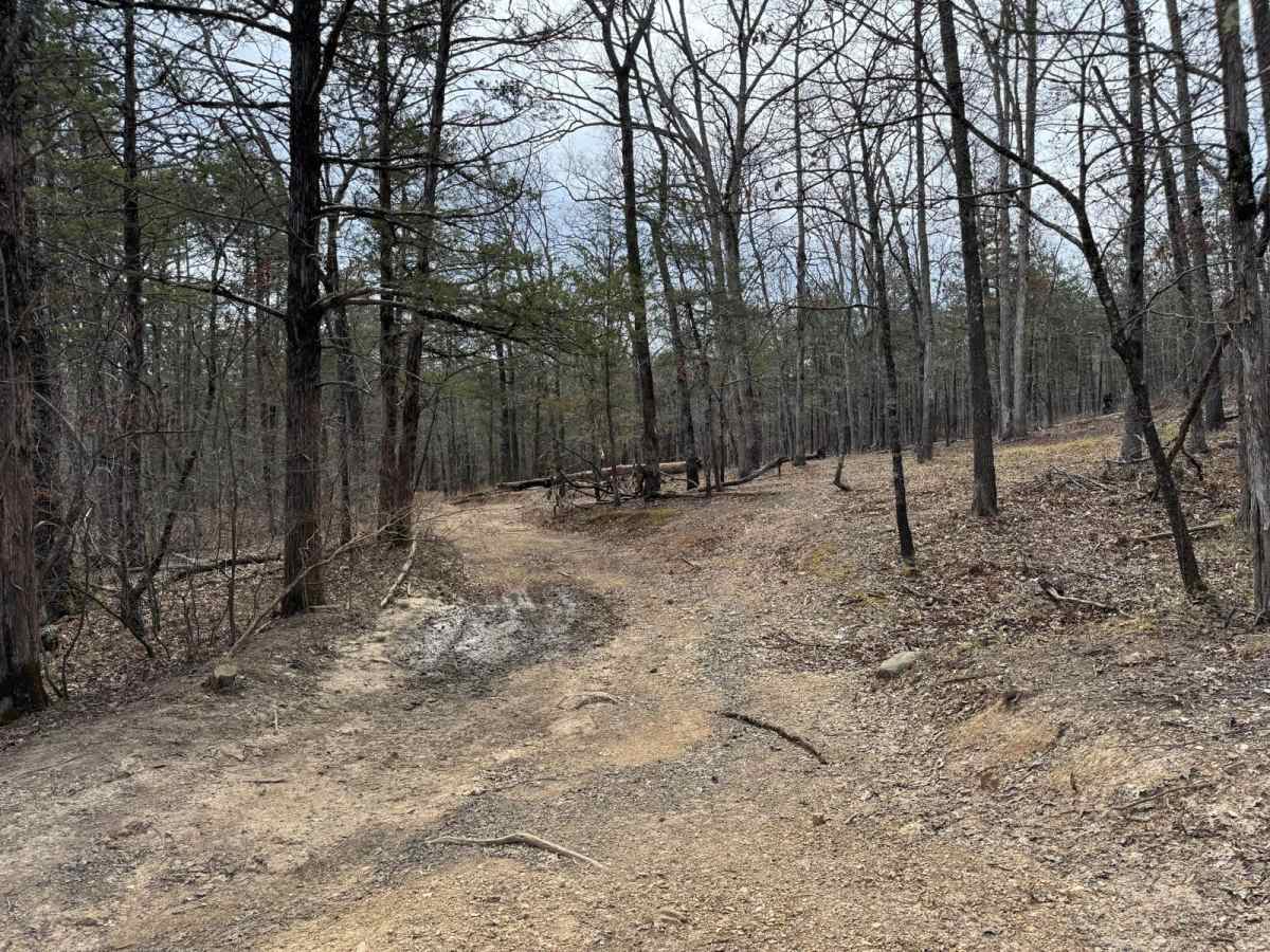 Gary Hollow - FSR 510A photo 6