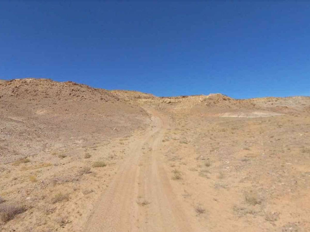 BLM13310 photo 5