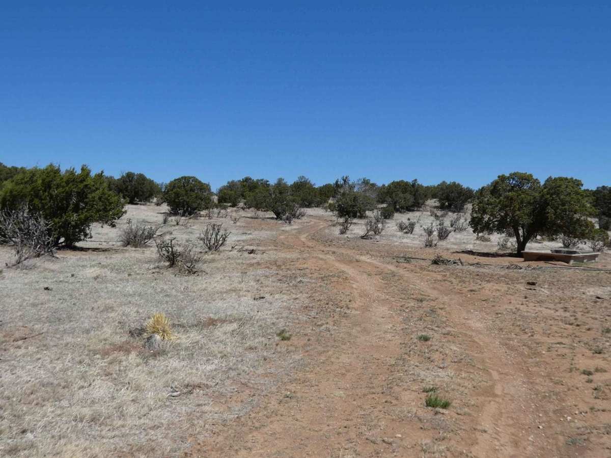 Acrey Allot trail photo
