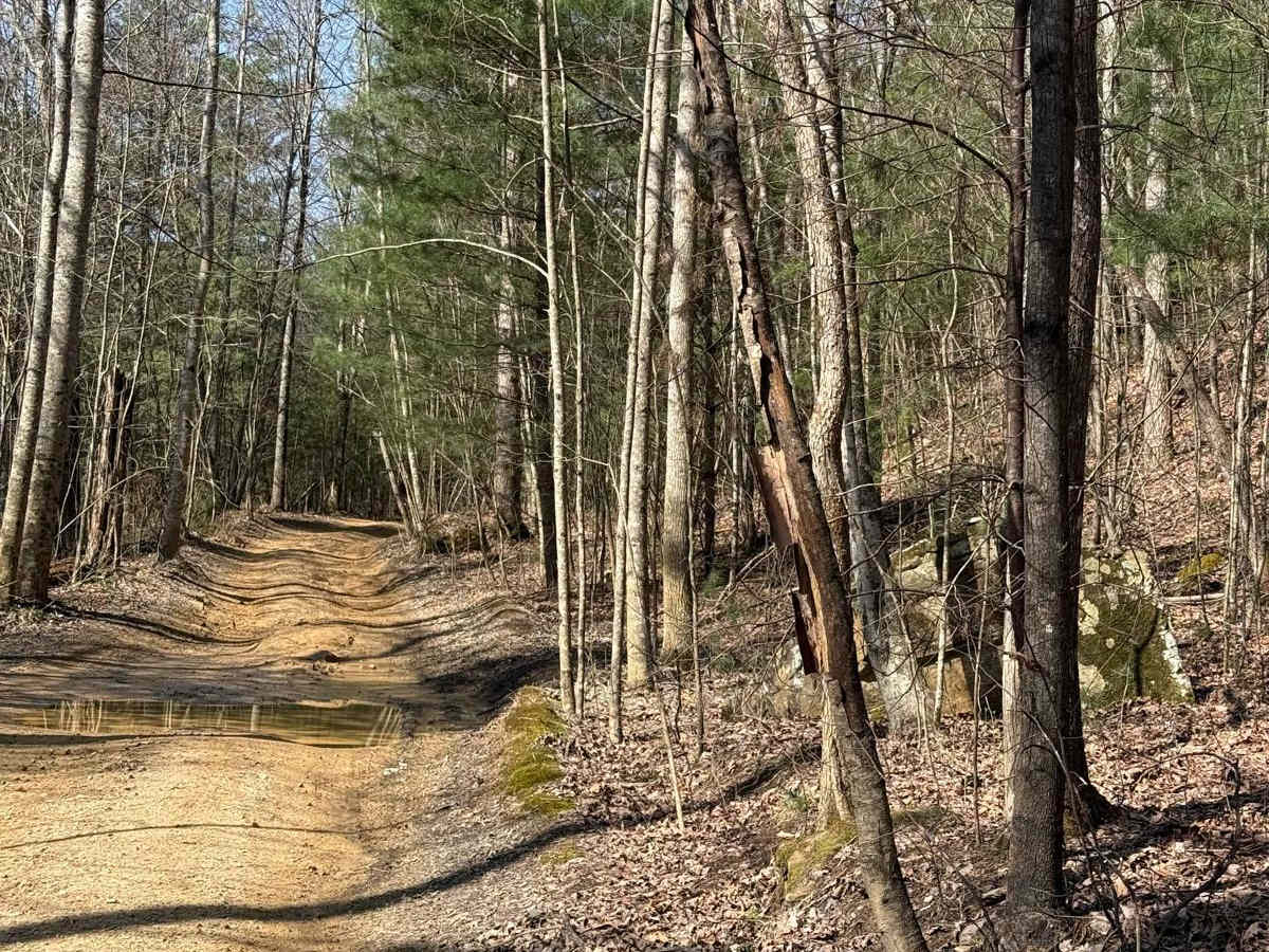 Trail 12 photo 4