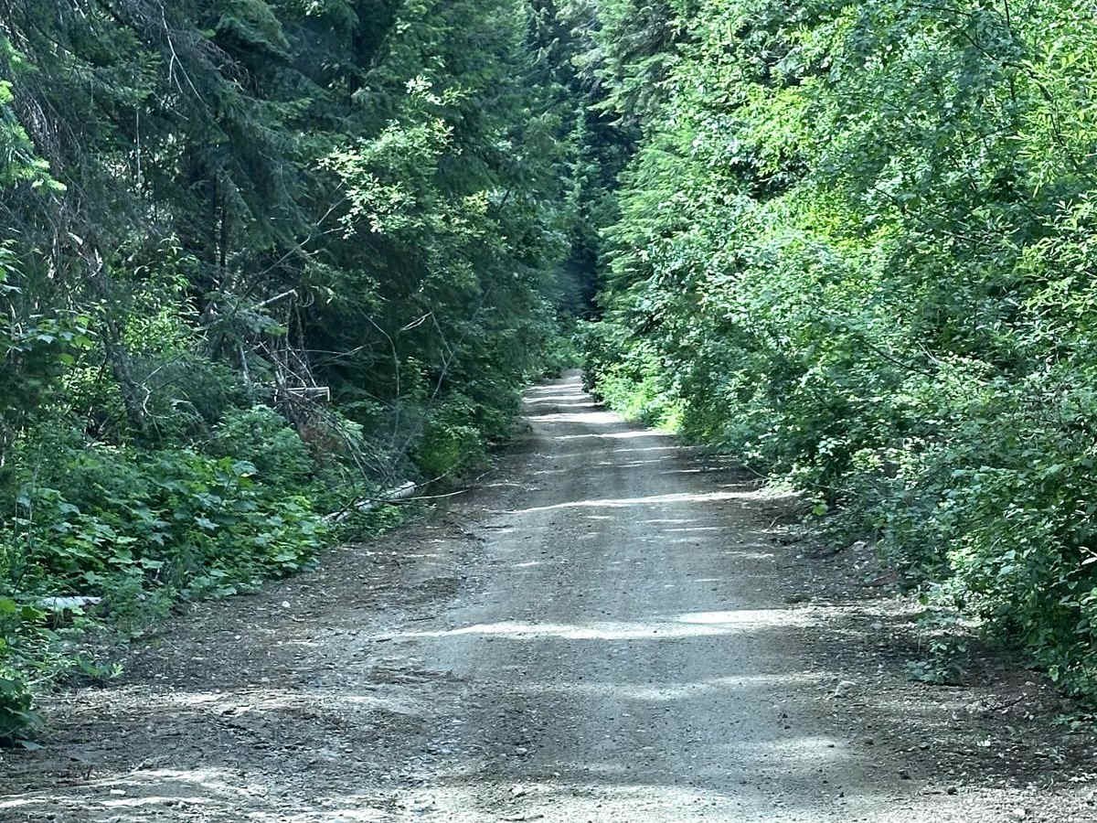 Eagle Creek Road photo 3