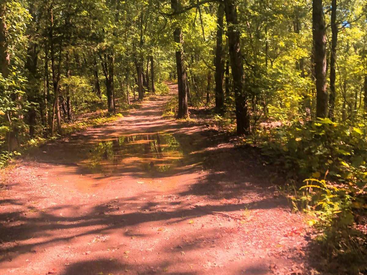 Moss Gap Staircase trail photo