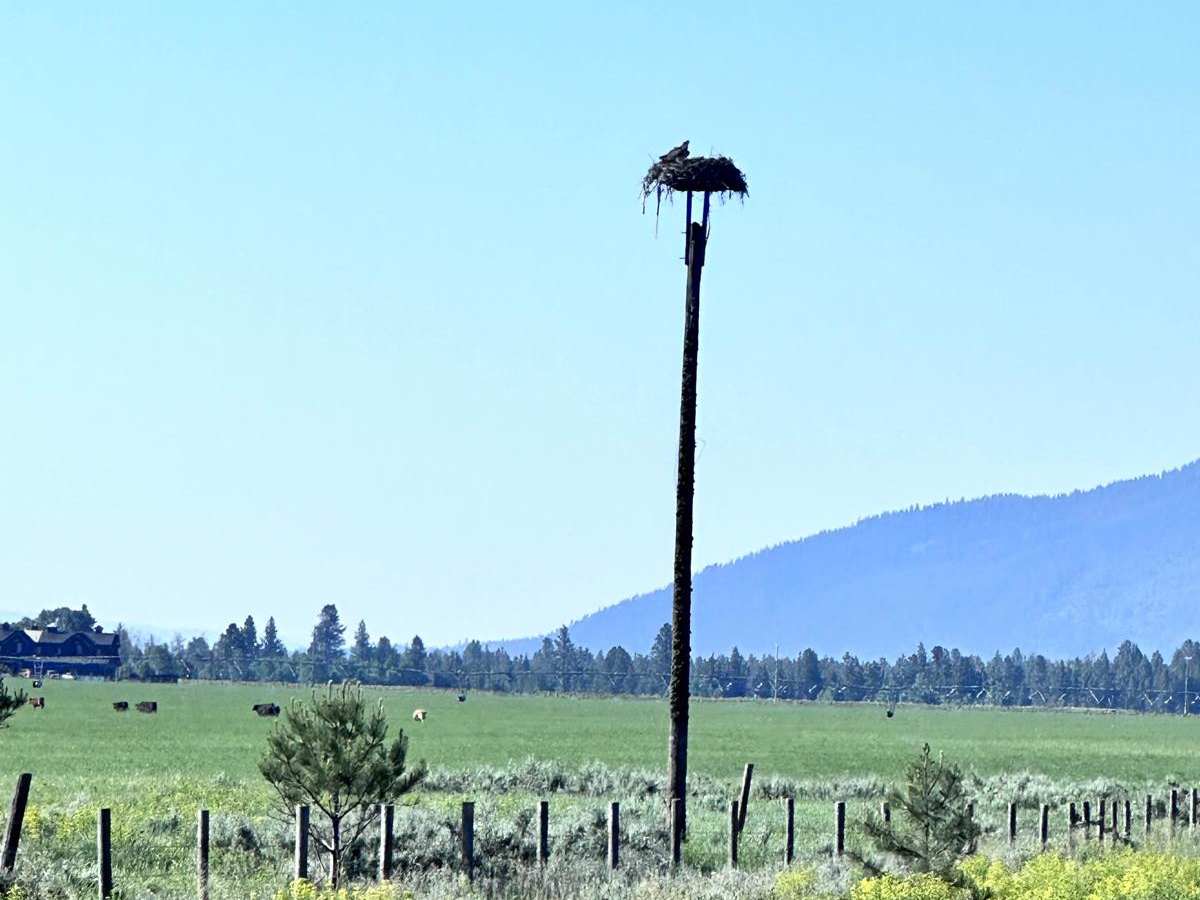 West Mountain Road photo 2