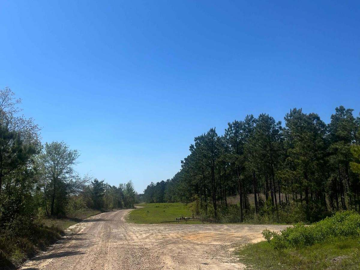 Ramsey Hill Road trail photo