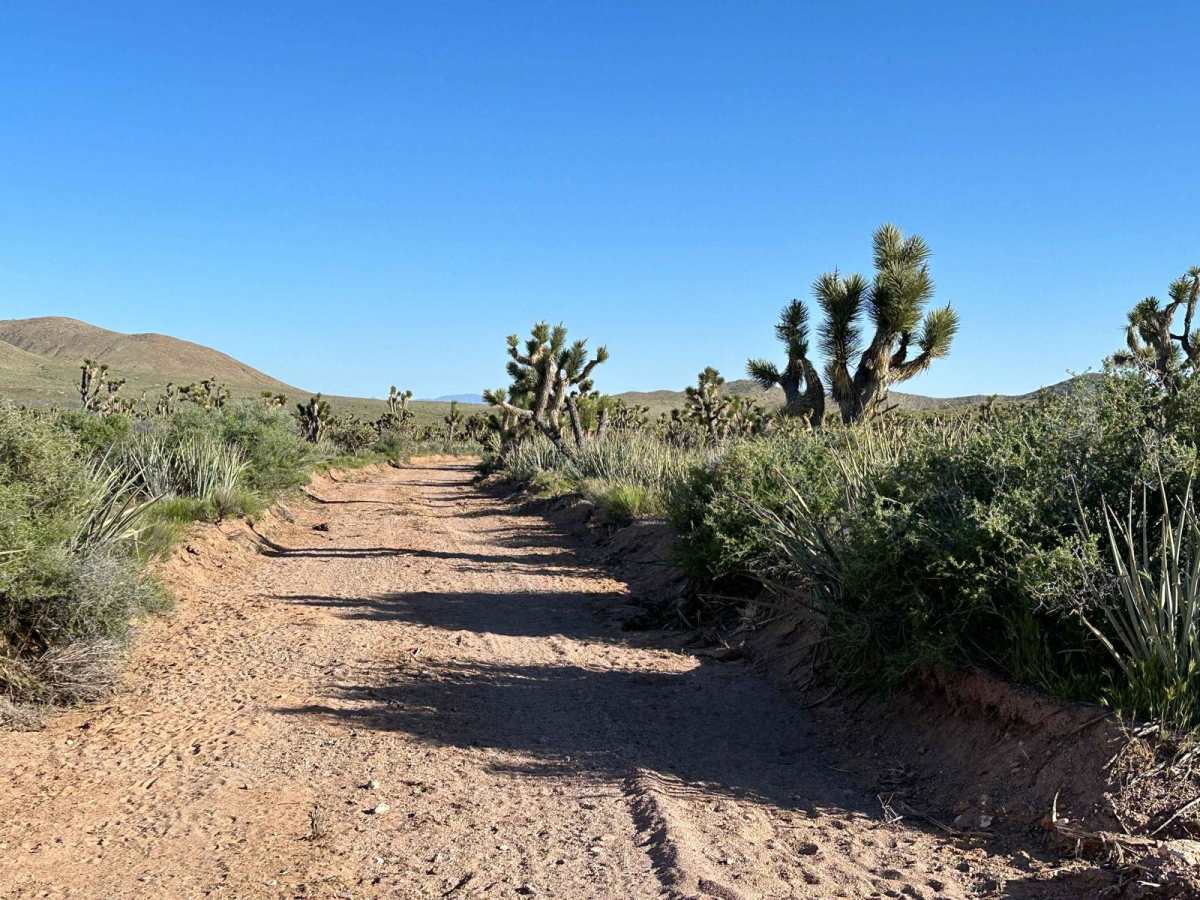 NV-UT State Line Road 020 photo 3