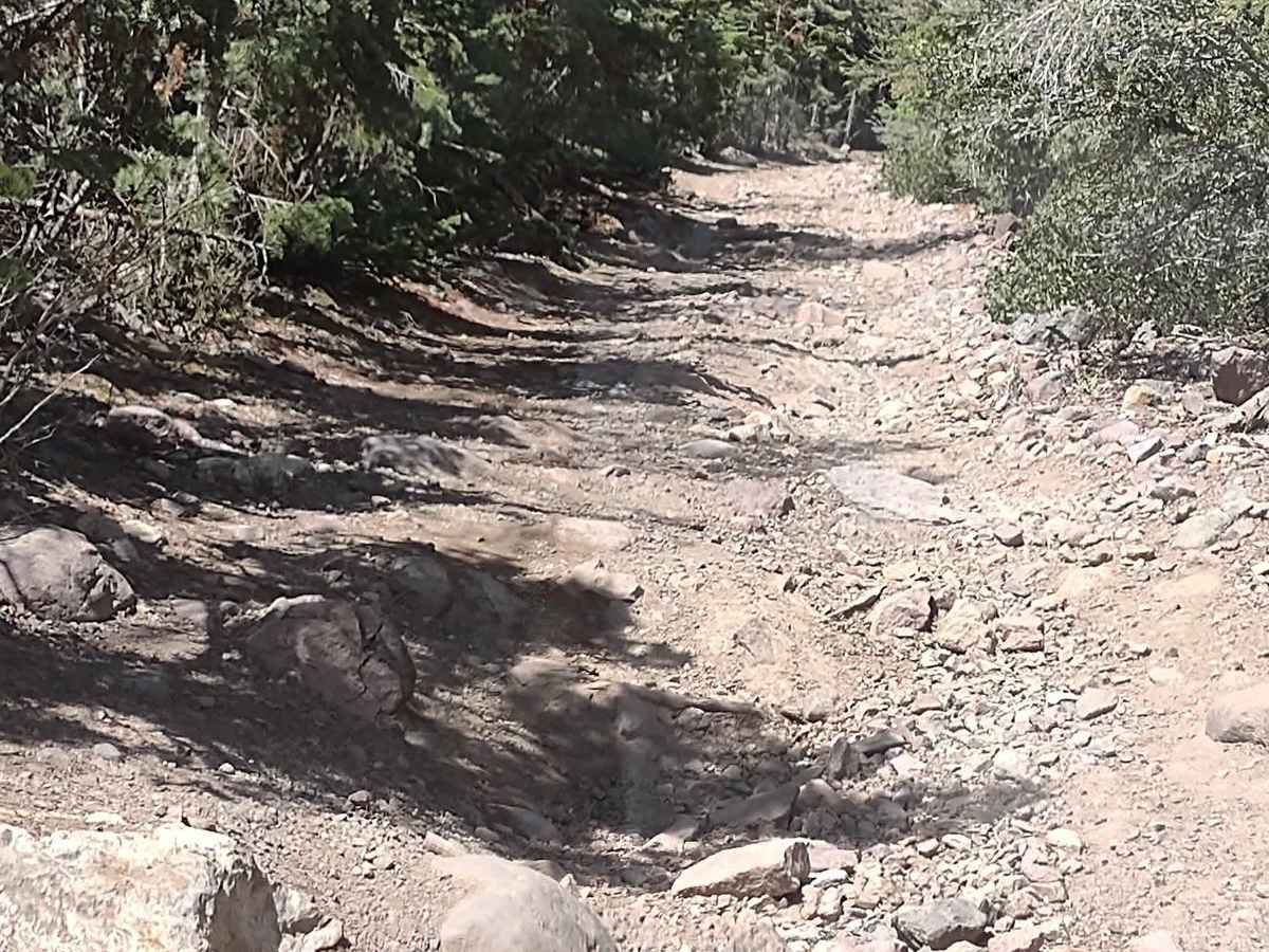 Cascade Creek Falls photo 3