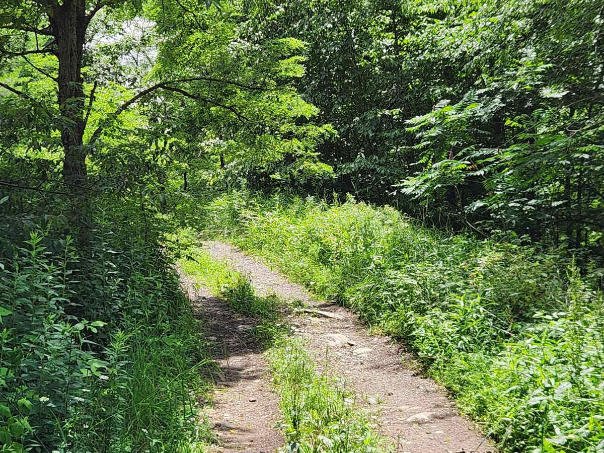 Trail 8G - Rock Run Recreation Area photo 2