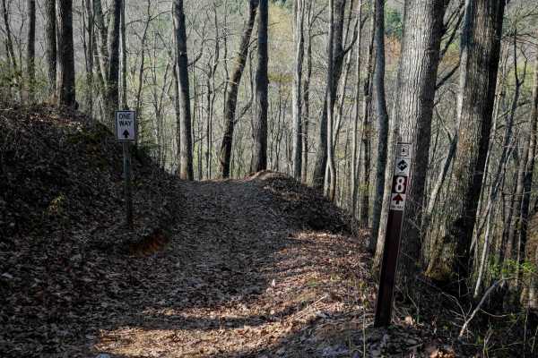 Trail 8 (Most Difficult - One Way)