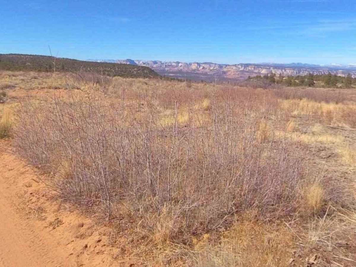 Harris Mountain-BLM28-KC1400 photo 5