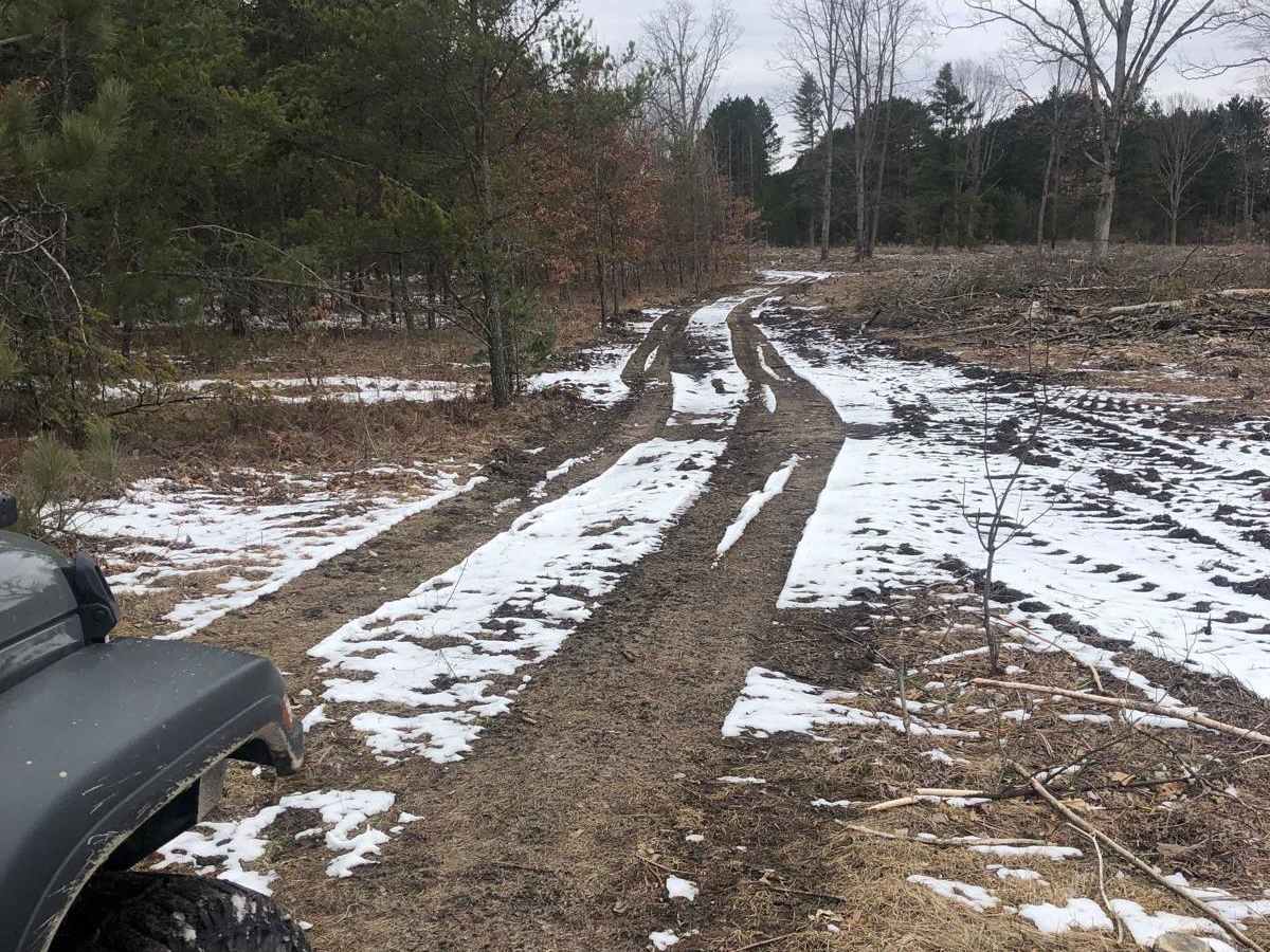 NFS Road 5235 trail photo