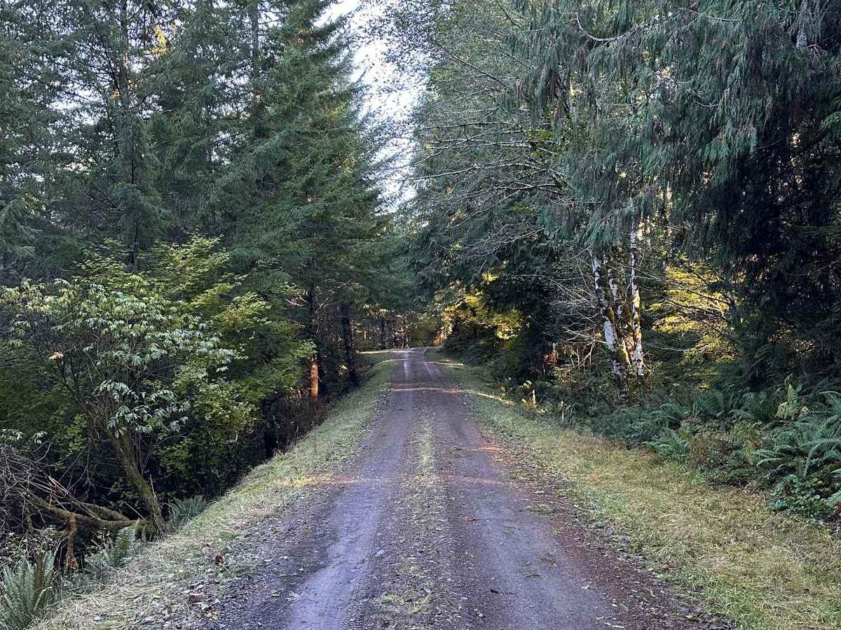 Wage to Walker Ridge photo 6