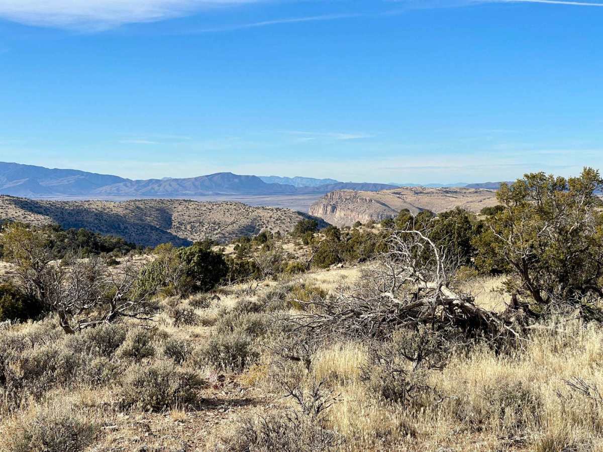 1621C Ruts and Junipers trail photo