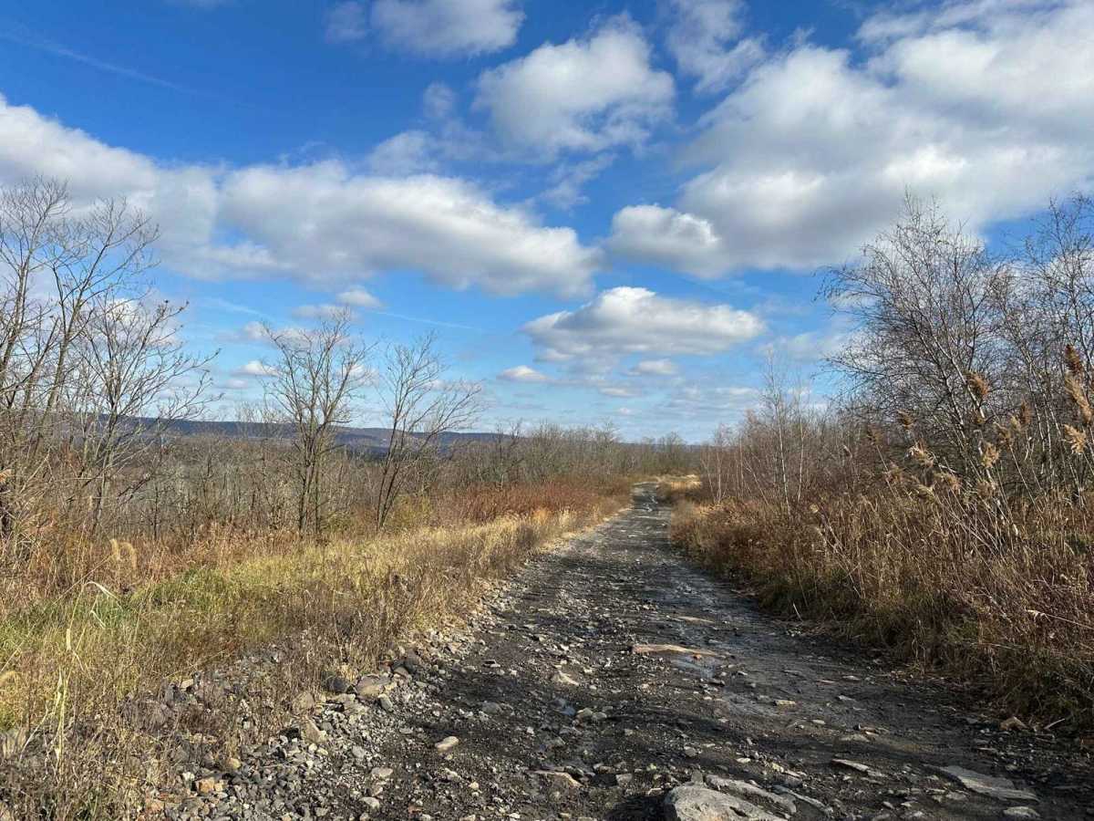 ATV Trail 35 photo 2