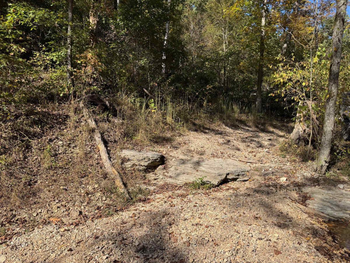 Crawler Alley 23 photo 3