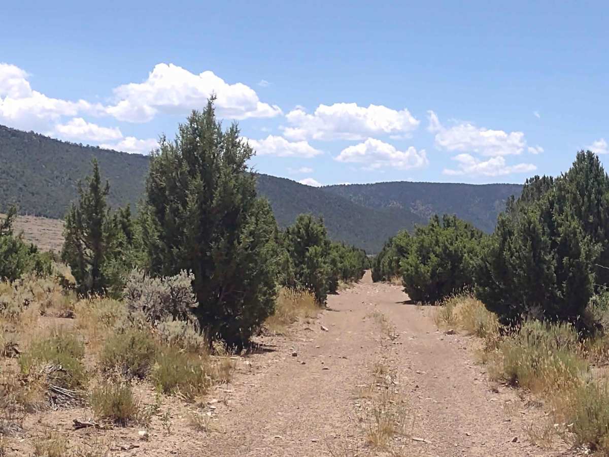 Beaver, Utah, to "The Face" photo 5