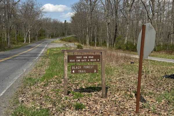Trout Run Road North