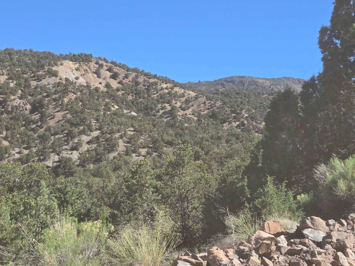 Parker Mountain Trail photo 5