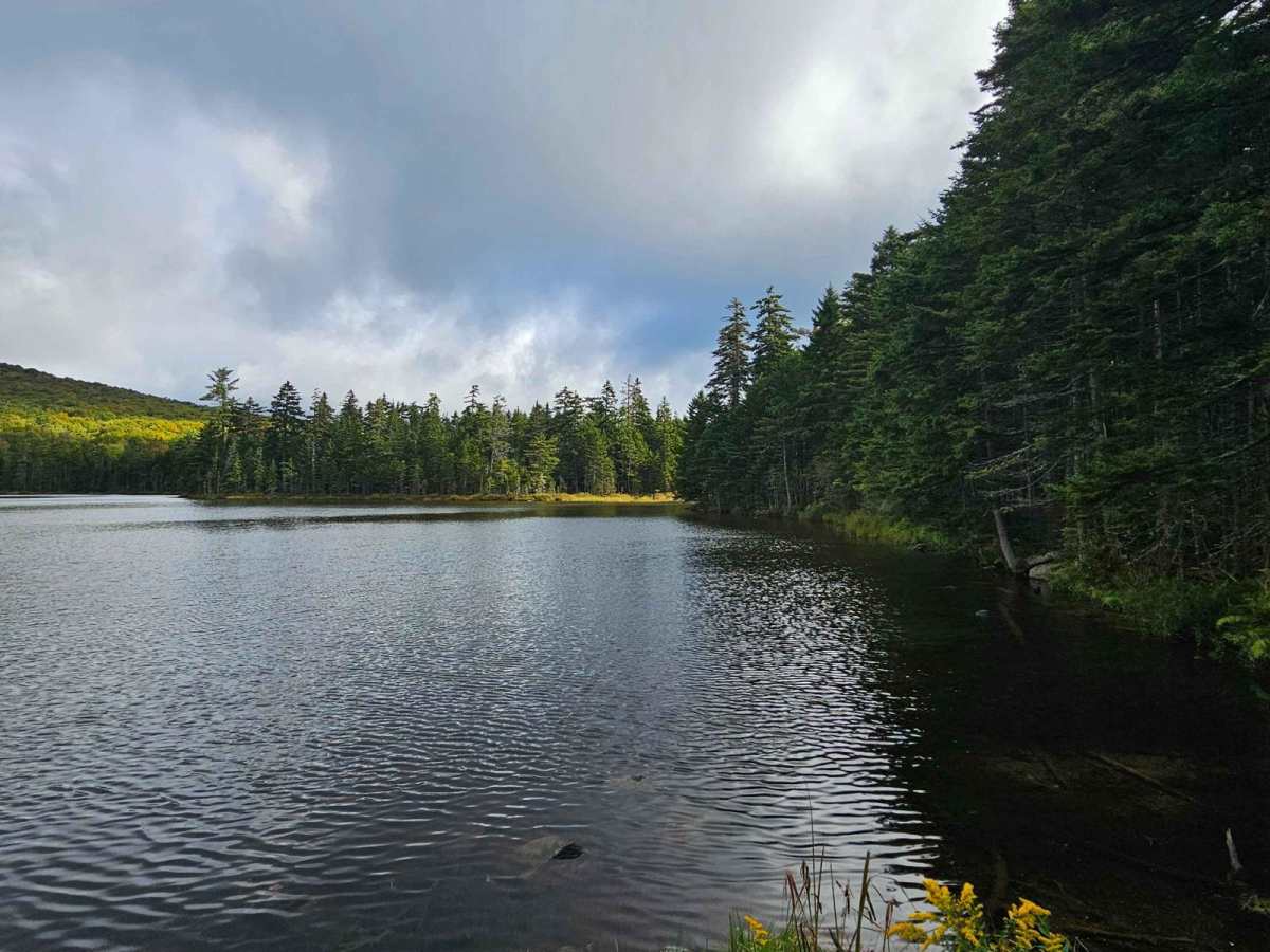 Pond Safety Road photo 4