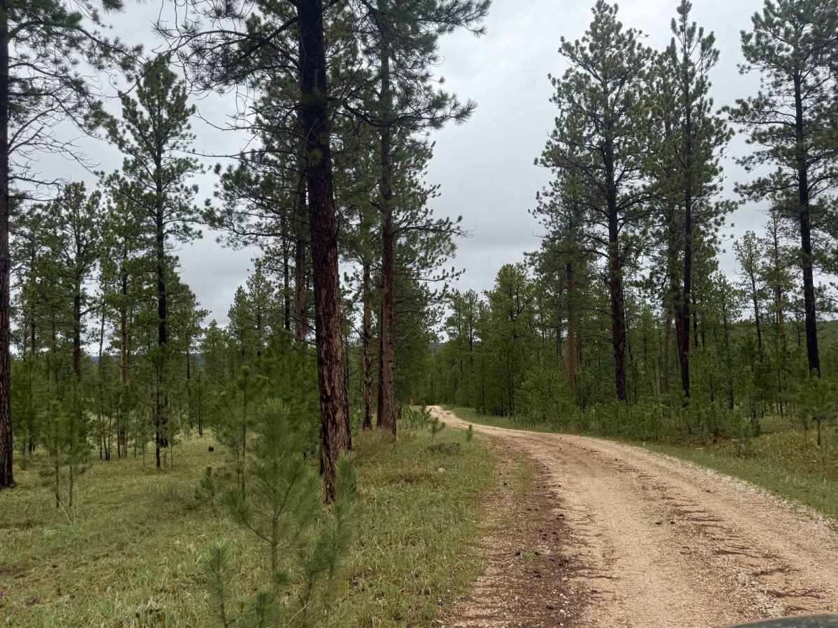 Heggie Spring Road photo 2