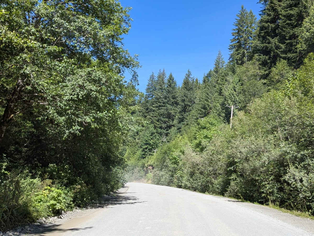 Carmanah Main photo 3