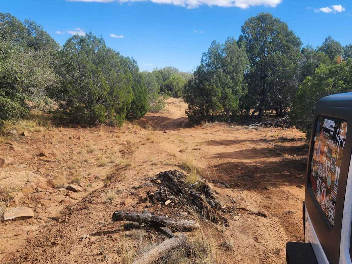 Thistle Hollow trail photo