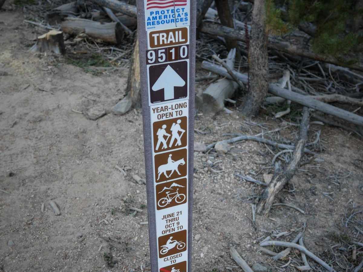 Monkey Butt trail photo