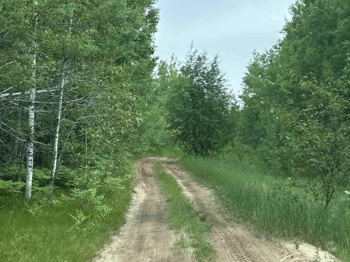 Trout Lake Spur photo 6