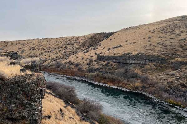 Snake River Grassy Trail